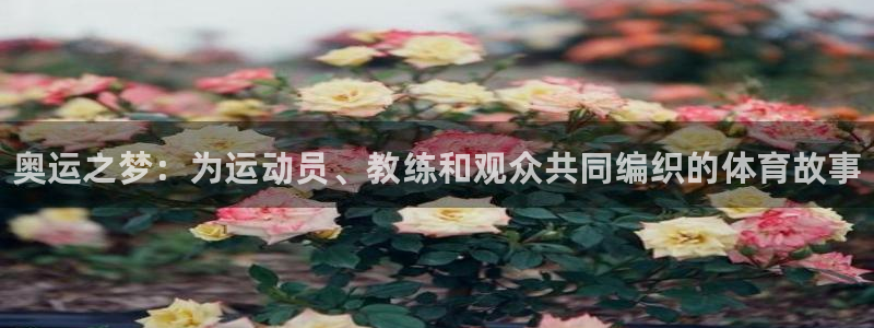凯发官方正版app娱乐是那个系列的台子：奥运之梦：为
