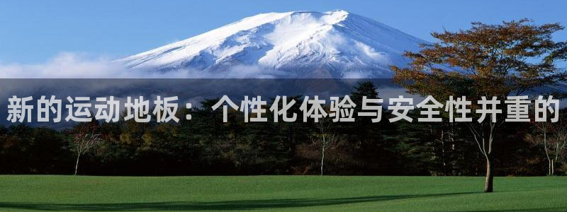 凯发官方正版app娱乐是那个系列的台子：新的运动地板