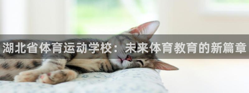 凯发官网下载平台是正规平台吗：湖北省体育运动学校：未