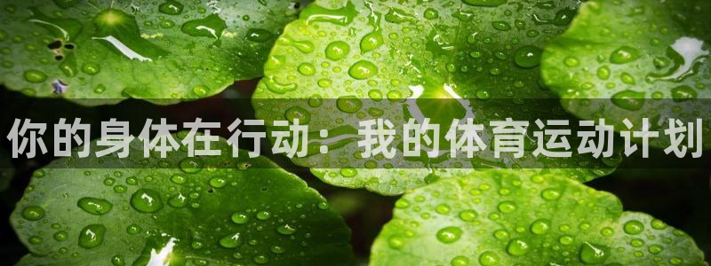 凯发官网下载招商电话是多少：你的身体在行动：我的体育