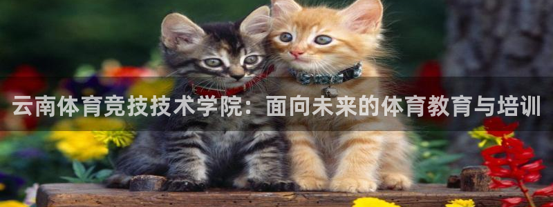 凯发官方正版app娱乐代理怎么样：云南体育竞技技术学