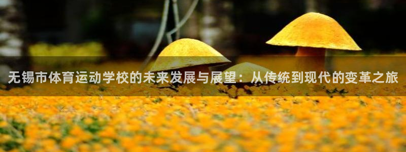 凯发官网下载平台：无锡市体育运动学校的未来发展与展望