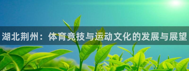 凯发官网下载招商电话地址是多少：湖北荆州：体育竞技与