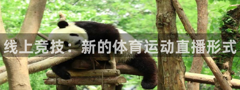 凯发官网下载：线上竞技：新的体育运动直播形式
