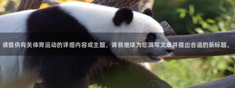 凯发官网下载注册：请提供有关体育运动的详细内容或主题