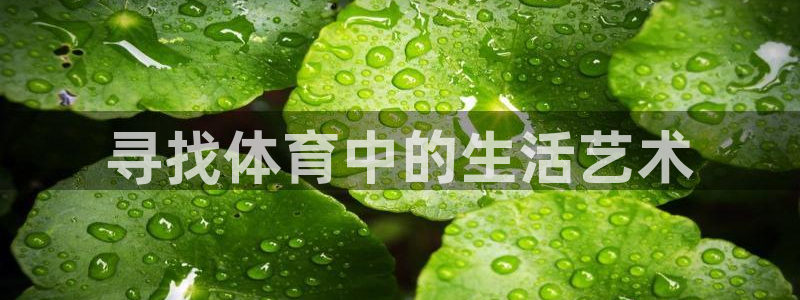 凯发官网下载招商电话地址：寻找体育中的生活艺术