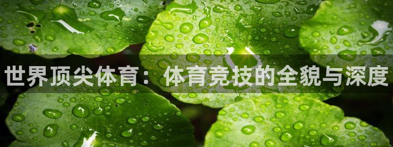 凯发官网下载开户：世界顶尖体育：体育竞技的全貌与深度