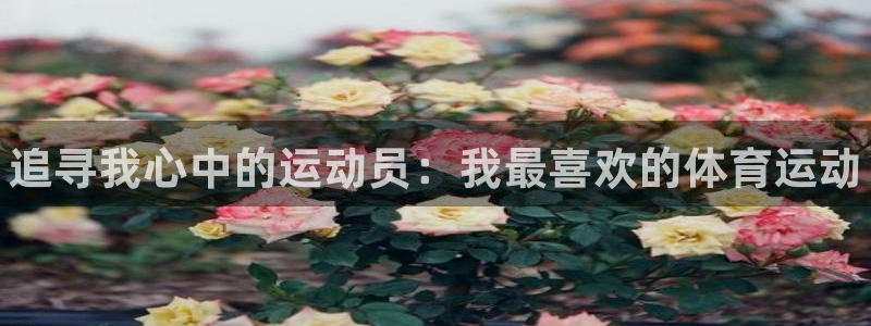 凯发官网下载是干嘛的公司：追寻我心中的运动员：我最喜欢的体育