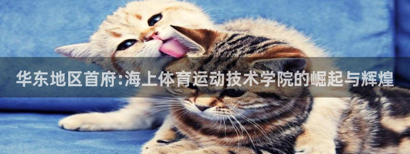 凯发官网下载平台注册流程视频：华东地区首府:海上体育