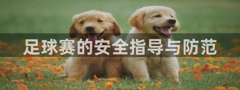 凯发官方正版app集团官网首页：足球赛的安全指导与防范