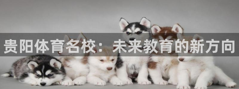 凯发官网下载招商电话号码