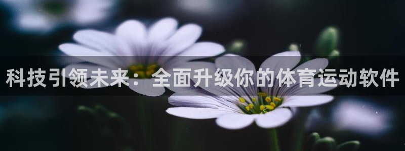 k8凯发官网平台：科技引领未来：全面