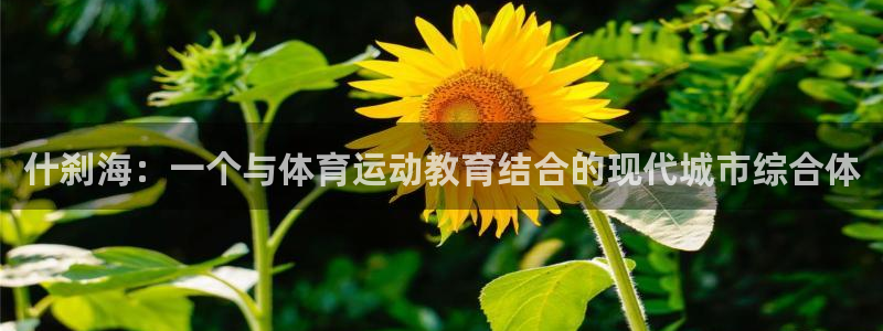 凯发k8一触即发：什刹海：一个与体育