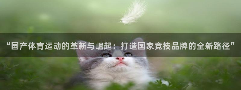 凯发在线官网登录：“国产体育运动的革