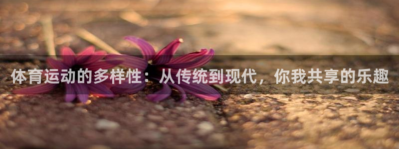 凯发官网下载注册：体育运动的多样性：从传统到现代，你我共享的