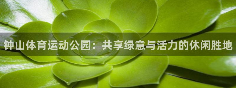凯发官网下载平台注册要钱吗：钟山体育运动公园：共享绿意与活力