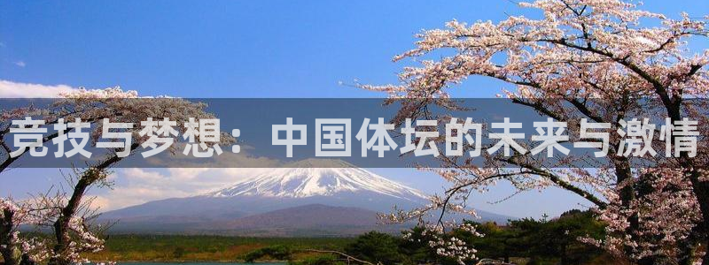 凯发官方正版app官方