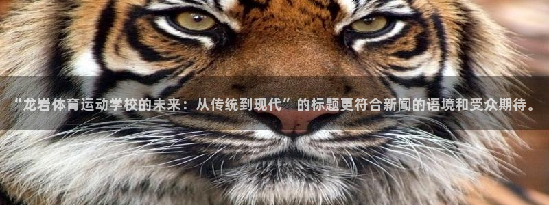 凯发官网下载招商电话地址查询：“龙岩体育运动学校的未来：从传