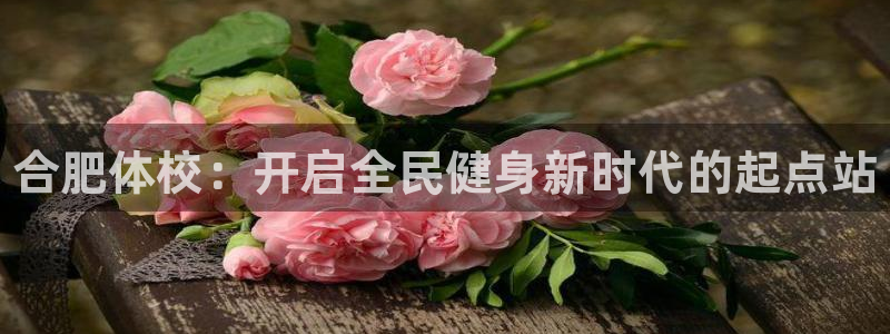 凯发官方正版app娱乐网站：合肥体校：开启全民健身新时代的起