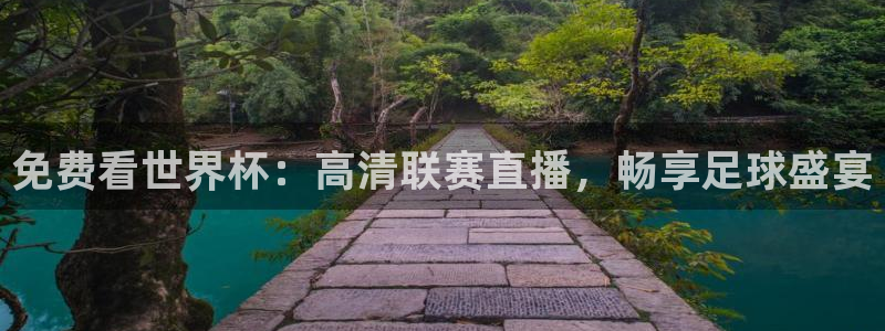 斗球体育直播免费观看：免费看世界杯：高清联赛直播，畅享足球盛宴